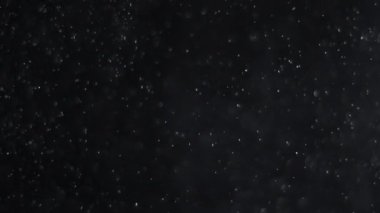 Siyah arka planda havada beyaz-gümüş parçacıkları var. Bazı parçacıklar güzel bir bokeh içinde bulanıklaşıyor. Çeşitli karıştırma kiplerinde videolarınız için 4K arkaplan.
