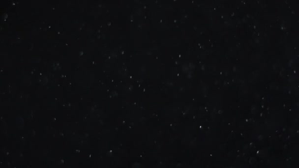 공중에 입자들이 있습니다 입자들은 아름다운 보케에 녹슬기도 합니다 모드의 동영상을 — 비디오