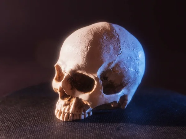 Cráneo Humano Sobre Fondo Negro Sin Mandíbula Iluminación Color Ángulo — Foto de Stock