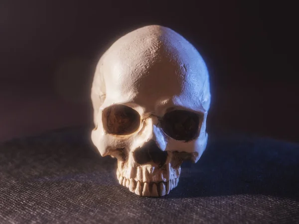 Craniu Uman Fundal Negru Fără Maxilar Iluminare Color Vizualizare Completă — Fotografie, imagine de stoc