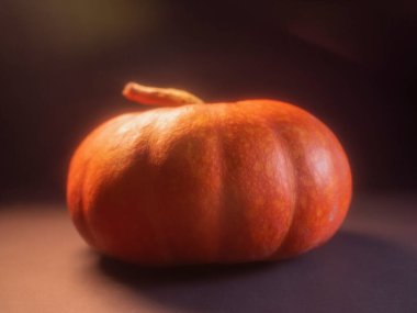 Kabak, izolasyondaki siyah arka planda yakın plan. Işıklı, parlak, hafif mistik aydınlatma. Çerçevede titreşim. Sonbahar teması. Cadılar Bayramı Tatili.