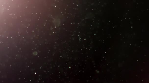 Een Suspensie Van Witte Deeltjes Lucht Met Kleurverlichting Een Zwarte — Stockvideo
