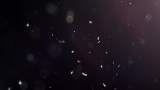 一种悬浮在空气中的白色颗粒 在黑色背景上有彩灯 有些粒子在一个漂亮的水壶中模糊不清 各种混合模式的视频的4K背景 — 图库视频影像