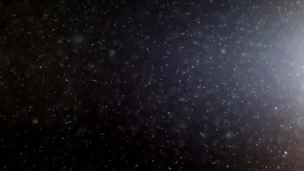 黒の背景に色の照明と空気中の白い粒子の懸濁液 粒子のいくつかは美しいボケでぼやけている 様々なミキシングモードでのビデオの4K背景 — ストック動画