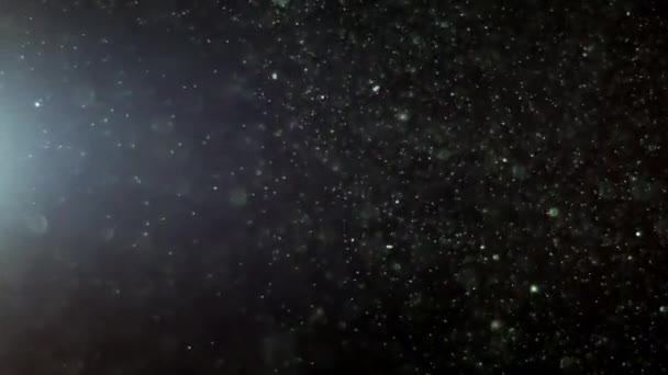 一种悬浮在空气中的白色颗粒 在黑色背景上有彩灯 有些粒子在一个漂亮的水壶中模糊不清 各种混合模式的视频的4K背景 — 图库视频影像