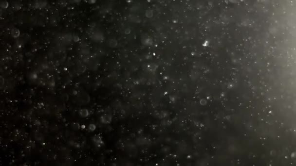 Siyah Arka Planda Beyaz Parçacıkların Havada Asılı Kalması Bazı Parçacıklar — Stok video