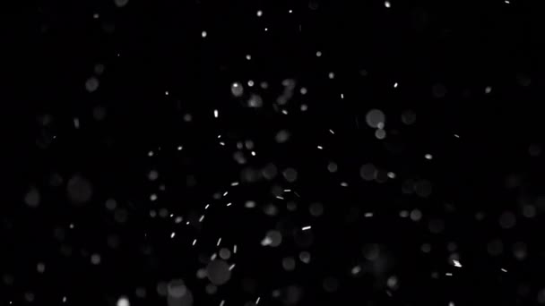 白银颗粒悬浮在空气中黑色背景上的白银颗粒有些粒子在一个漂亮的水壶中模糊不清 各种混合模式的视频的4K背景 — 图库视频影像