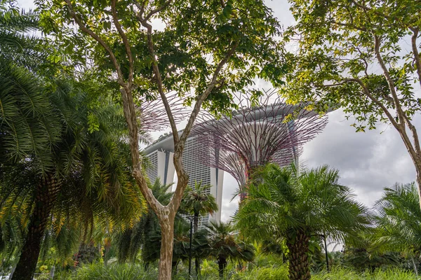 Hermoso edificio moderno y jardín botánico artificial en Singapur — Foto de Stock