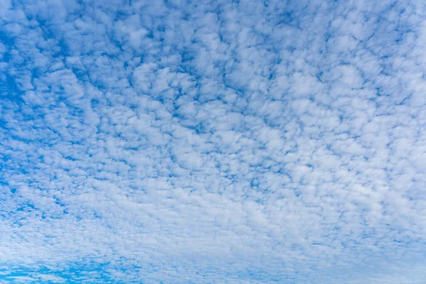 Panoramafoto von Zirruswolken, die am blauen Himmel schweben — Stockfoto