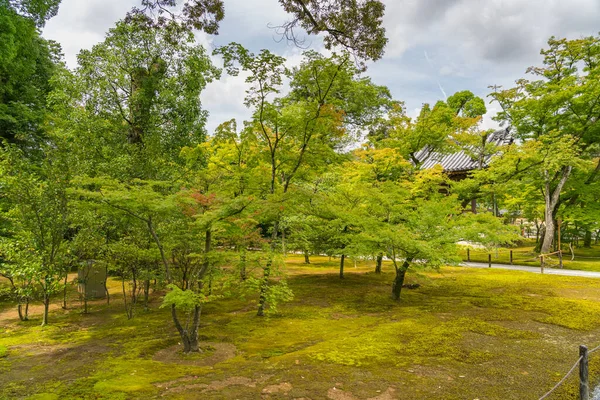 일본 , 쿄 오토오 의 킨 커 쿠지 성문 주위의 아름다운 정원 풍경 — 스톡 사진