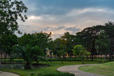 Halk parkında güzel bir akşam, yürüyüş yolu ve biçilmiş çimlerle.