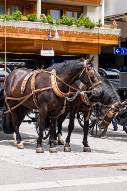 Zermatt kasabasındaki at arabasının dikey fotoğrafı