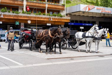 ZERMATT, SWitzERLAND - 22 Haziran 2019: Zermatt kasabasında turistler için at arabası