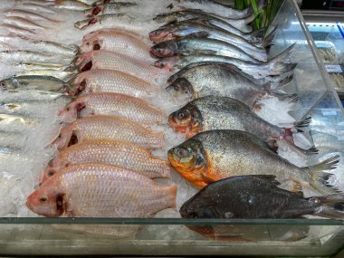 Süpermarkette satılık taze balık yığını