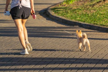 Parkta küçük köpeğiyle yürüyen genç bir kadın.