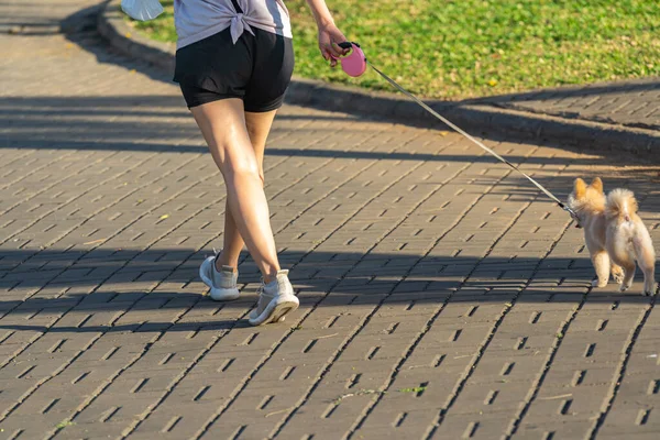 Donna che cammina con il suo cucciolo al parco durante la giornata estiva — Foto Stock