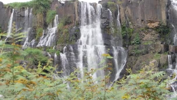 Foto em câmera lenta de cascata de cachoeiras requintadas com plantas tropicais e vegetação. — Vídeo de Stock