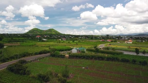 Filmový letecký pohled na vietnamskou krajinu s výhledem na zelené farmy a vesnice. — Stock video