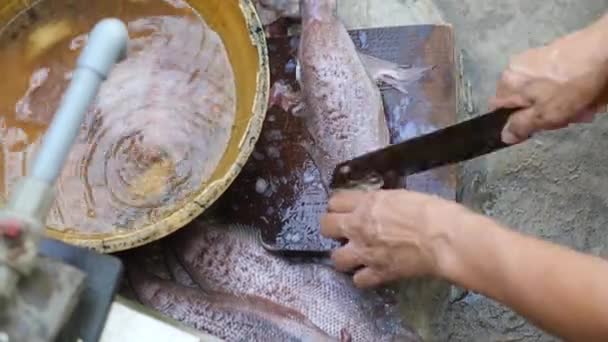 Рука, масштабирующая и резающая рыбу на деревянной доске ножом. — стоковое видео