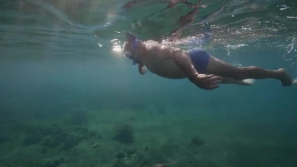 Bajo el agua: Hombre viejo buceando en el océano en las vacaciones de verano. — Vídeos de Stock