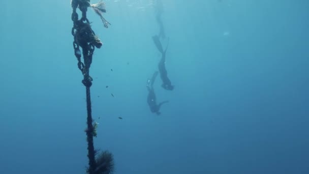 Unterwasserblick eines Freitauchschülers und Tauchlehrers, die gemeinsam in die Tiefe tauchen — Stockvideo