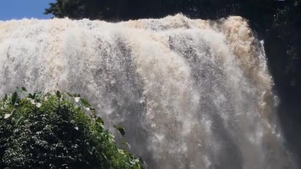 Majestueus uitzicht op de stroom van enorme waterval met natuurlijk licht in tropische jungle. — Stockvideo