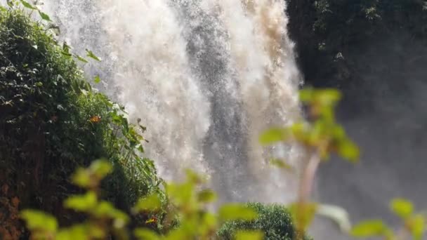 Close up tiro focado e desfocado de cachoeira na floresta tropical fluindo rapidamente. — Vídeo de Stock