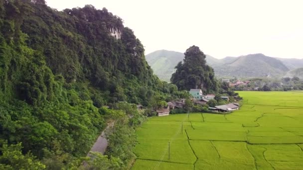 Luchtfoto van schilderachtig landschap met klein dorp, mooie groene rijstvelden. — Stockvideo