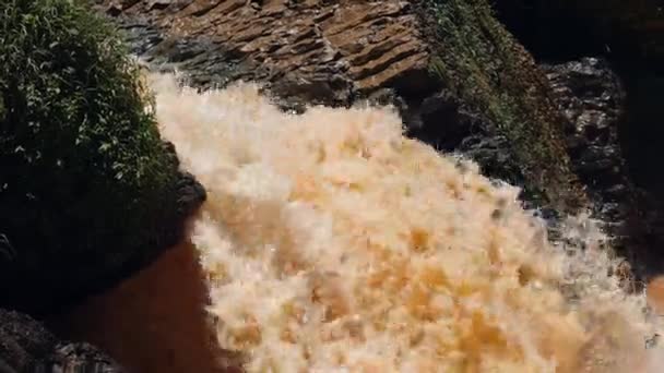 Zblízka záběr silného proudu kaskády v horské řece v deštném pralese. — Stock video