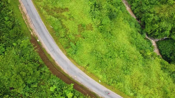 Route en montagne avec des herbes et des arbres verts jaunes et une moto ambulante — Video