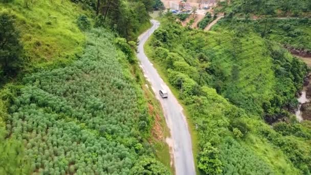 緑の森と山の中の道路を走行車の空中ビュー. — ストック動画