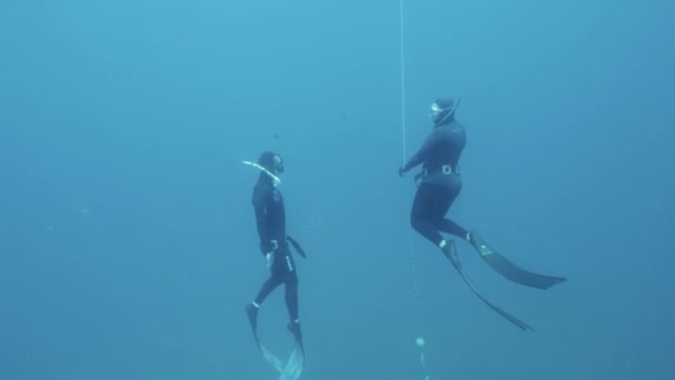 Nha Trang, IMDb 30 JULY, 2020: Seorang siswa freediver melakukan stroke kaki. — Stok Video