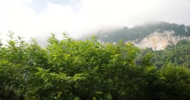 Cinematic moving shot of green trees, dramatic clouds and foggy clifside. — Stockvideo