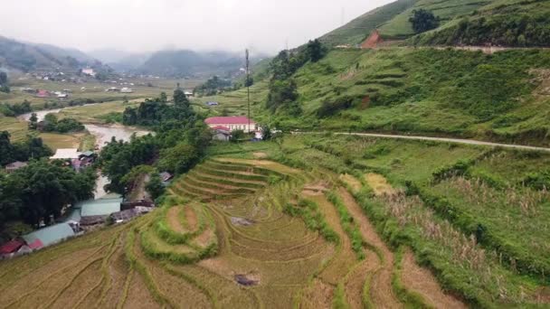 Un villaggio di campagna con piantagione di riso raccolto, strada e verde lussureggiante. — Video Stock