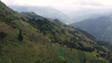 Resimli vadi, yemyeşil bitki örtüsü, ağaçlar, pirinç terasları ve dolambaçlı yollar.