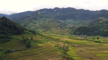Asya kırsalındaki görkemli pirinç terasları ve dağ manzarası.