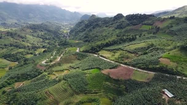 Légi kilátás gyönyörű zöld táj a hegyekben a banánültetvény — Stock videók