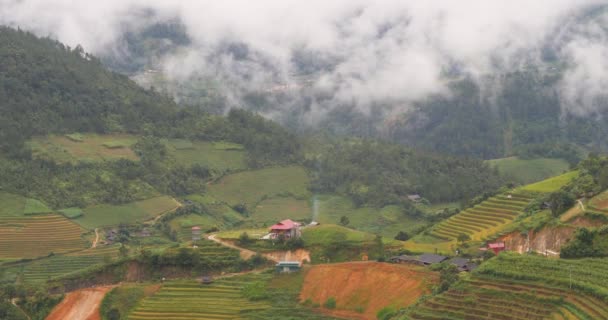 Malerischer Blick auf die asiatische Landschaft mit Reisterrassen an einem dramatischen Regentag — Stockvideo