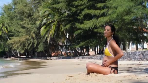 Jong gelukkig zwanger vrouw zitten op het zand in het strand aanraken van haar buik — Stockvideo