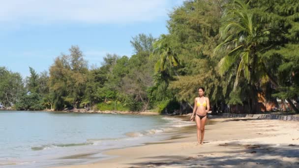 Fiatal terhes nő bikiniben sétál a strandon egyedül egy napsütéses napon. — Stock videók