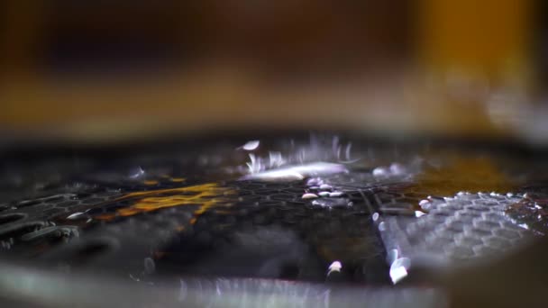 Macro shot of seafoods being grilled with oil in a pan at a restaurant. — Stock Video