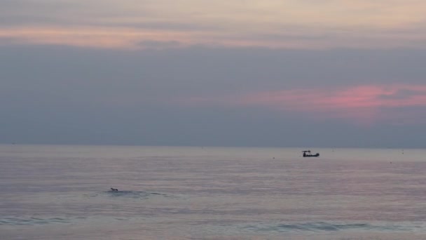 Scénický výhled na pláž za soumraku s mužem plavat a loď pohybující se ve vodě. — Stock video
