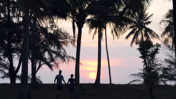 해질 녘에 손을 잡고 코코넛 나무 아래서 걷고 키스하는 젊은 부부. — 비디오