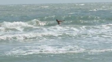 Dalgalı denizde yüzen ve suda oynayan bir adam..