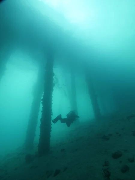 潜水者在蓝色海洋深处潜水的俯视图. 图库照片