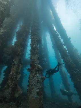 Suda güneş ışığı olan bir iskelenin altında dalgıçlık yapan bir dalgıç..