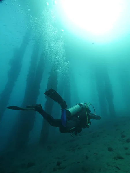 En dykare dyker under vattnet nära en undersida piren med solljus i vattnet. — Stockfoto