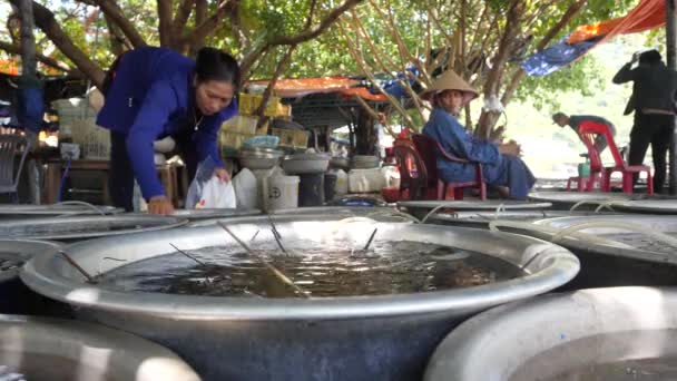 Cham Island, Vietnam- 20 de julio de 2020: La escena del mercado de mariscos en un día no ocupado. — Vídeo de stock