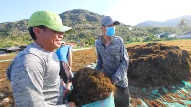 Nha Trang, Vietnam-29 juillet 2020 : Des travailleurs heureux ramassent des algues sèches. — Video