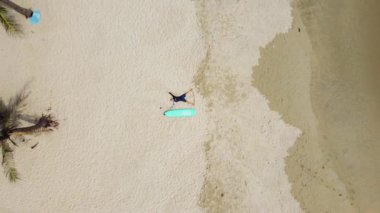 Aerial view over a surfer with surfboard lying on the sand in a beautiful tropical beach with coconut trees and waves.